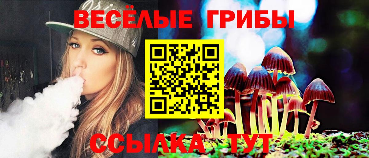 Псилоцибиновые грибы ЛСД  Вход с VPN  Северобайкальск 